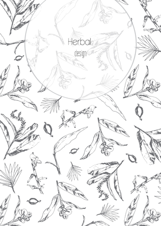 Vector background with herbs and spices. Illustration of plant natural organic comdiment. Herbal black and white designのイラスト素材