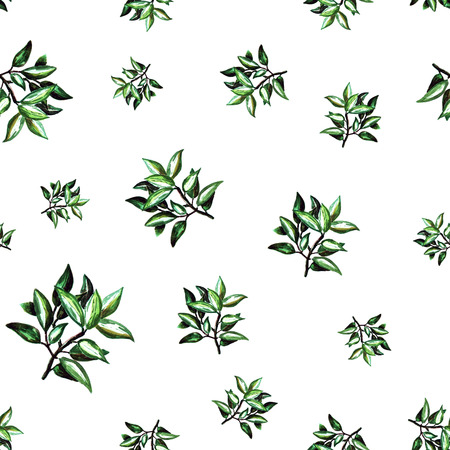 Seamless pattern with seasoning. Watercolor bay branches.の写真素材