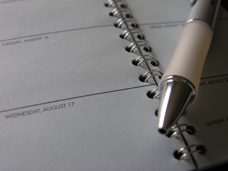 Pen Lying Across Open Page of Appointment Book, Close Up of Day Timer with Blank Spaces - Concept...