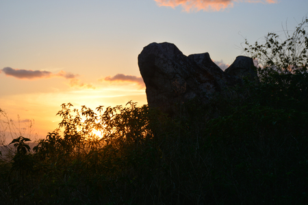 Vegetation of the Brazilian semi-arid illuminated with the warm colors of the sunset in Limoeiro, Pernambuco state, Brazil.の写真素材