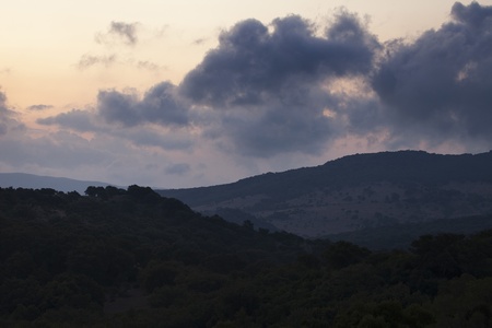 Sunrise at a national park meadow Alcornocales (Spain)の写真素材