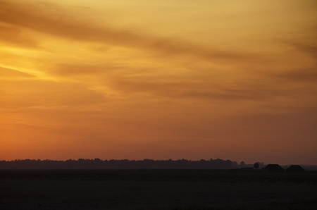 Orange sunset on a cloudy day over a forest of treesの写真素材
