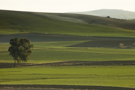 Andalucia lights in rural landscapes and agriculturalの写真素材