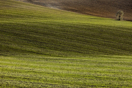 Andalucia lights in rural landscapes and agriculturalの写真素材