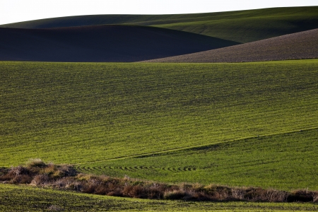 Andalucia lights in rural landscapes and agriculturalの写真素材