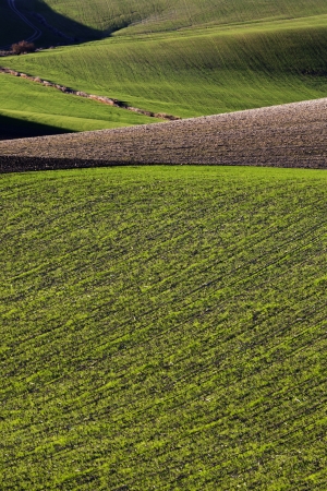 Andalucia lights in rural landscapes and agriculturalの写真素材