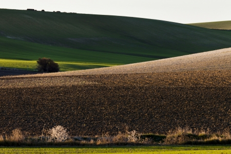 Andalucia lights in rural landscapes and agriculturalの写真素材