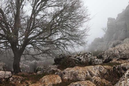 Winter landscape in the Torcal - Malagaの写真素材
