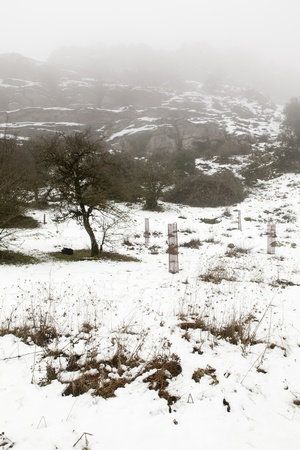 Winter landscape in the Torcal - Malagaの写真素材