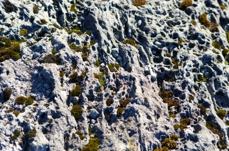 Volcanic Rock 