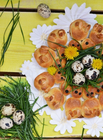 Easter bunny  buns on the spring backgroundの写真素材