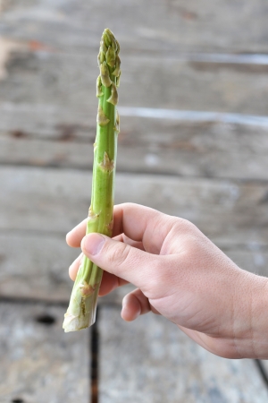  fresh, green ,raw asparagus on the wooden table の写真素材