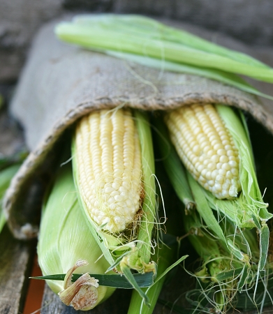 Ears of fresh corn on the wooden backgrowndの写真素材