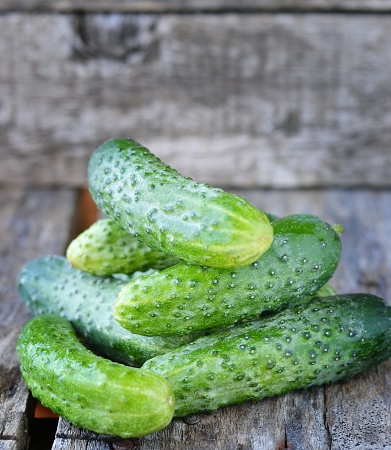 fresh,green organik cucumber on the wooden backgroundの写真素材