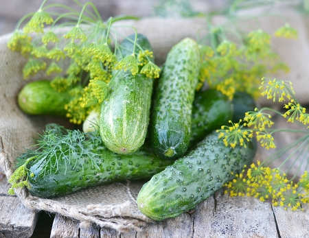 fresh,green organik cucumber on the wooden backgroundの写真素材