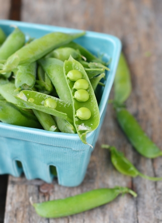 fresh, organic  green peas の写真素材