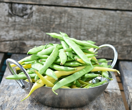 fresh,organic  green beans 