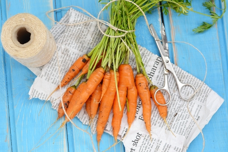 Fresh kitchen garden carrots on the wooden backgrowndの写真素材