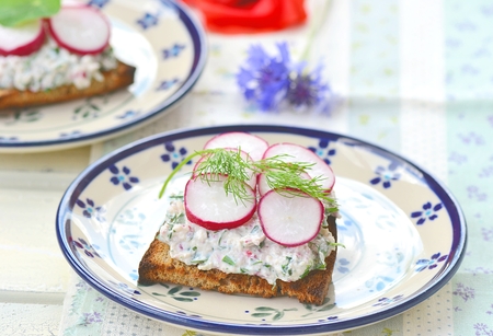 canape with  farmer cheese and radish on the ornamental plateの写真素材