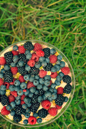 trifle  dessert with wild berries.image is tintedの写真素材