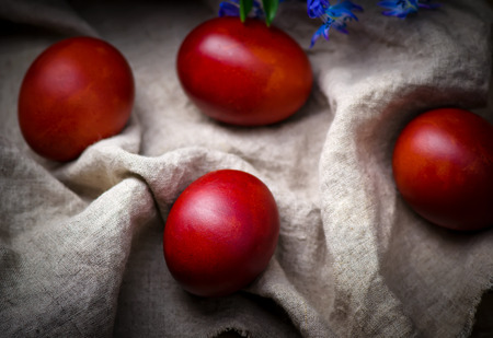 Easter colored eggs with spring flowers . rustic style. selective focusの写真素材