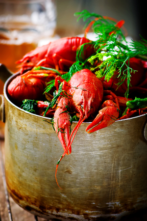 boiled crayfish with dill in a vintage metal pan. style rustic. selective focusの写真素材