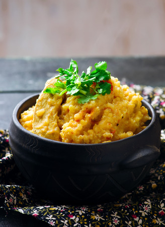 Slow Cooker Peanut Chicken.selective focusの写真素材