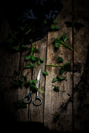  fresh  and wild nettle  on a wooden table. Style rustic. selective focusの写真素材