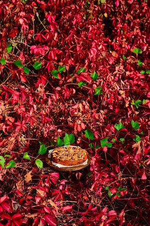 plum ricotta crumble cake.style rustic. selective focusの写真素材