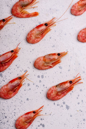 Fresh Srimp.top view. style rustic. selective focusの写真素材