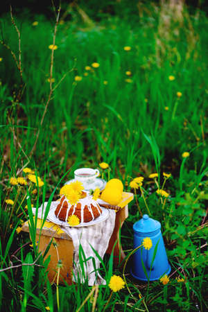 Dandellion lemon cake.rustic owtdoor photo. style.selective focusの写真素材