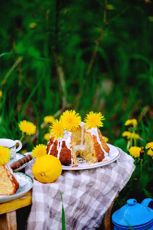 Dandellion lemon cake.rustic owtdoor photo. style.selective focusの写真素材