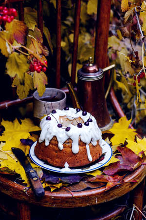 Bicolor cherry pie. style rustic. natural light.selective focusの写真素材