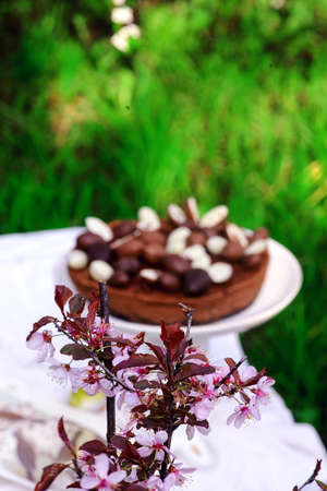 Easter chocolate cheesecake.traditional easter pastries. selective focusの写真素材