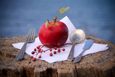 Meal setting on a tree stump with one red apple.の写真素材