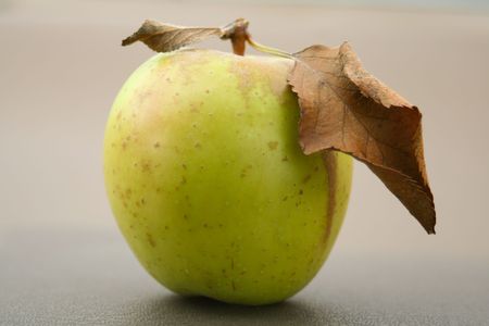 green and gold apple with gold leavesの写真素材