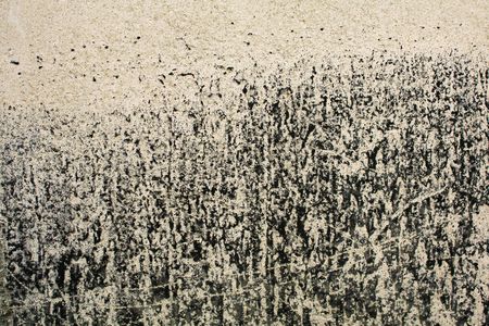 Texture abstract of mold pattern on concrete.  Top Clear.の写真素材