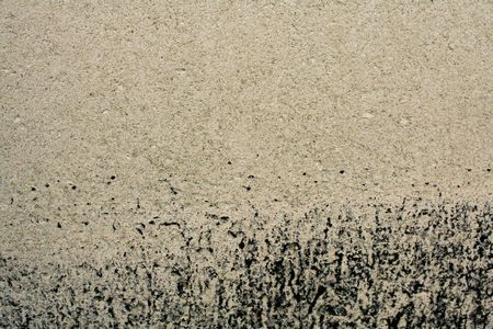 Texture abstract of mold pattern on concrete.  Bottomheavy.の写真素材