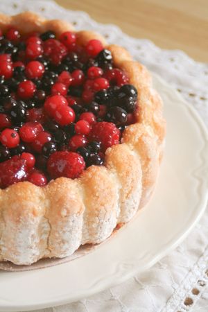 Half sponge cake topped with raspberry, blueberry, and currants on a white dish-Verticalの写真素材