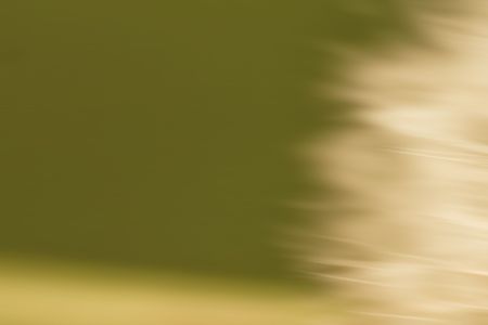 a warm green background with a burst to the rightの写真素材