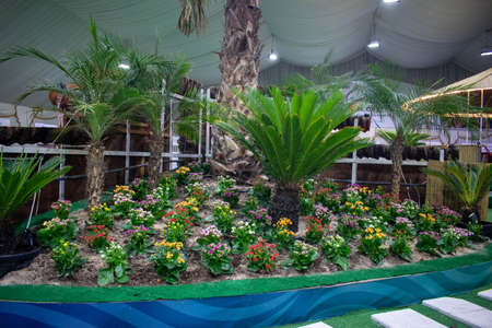 A group of multi-colored flowers with some small palm trees inside an exhibition of dates in Qatarの写真素材