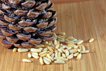 Pine Nutsの写真素材