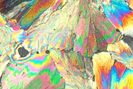 Sugar crystals under the microscope