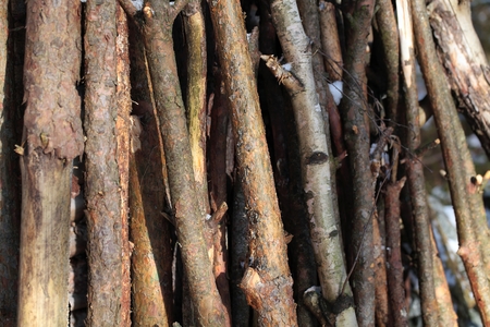 Old Wood