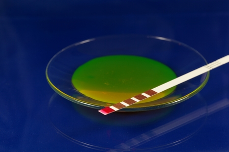 Test strip for chemical analyses.の写真素材