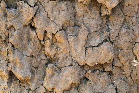 Dry earth with cracks, as texture or background.の写真素材