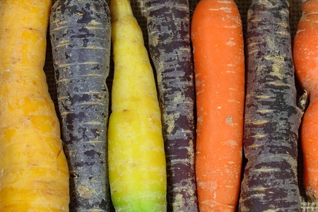 Different colored carrots with some blue carrots. Blue carrots are a special type of the usual...