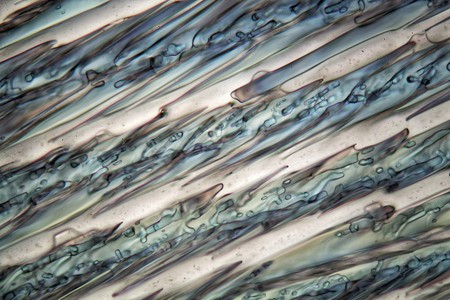 Ice crystals of frozen apple juice under the microscope and in polarized light.の写真素材