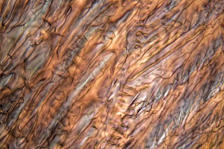 Ice crystals of frozen red grape juice under the microscope and in polarized light.の写真素材