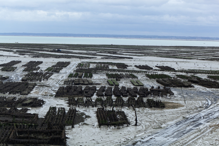Oyster farms at the Atlantic coast in France.の写真素材
